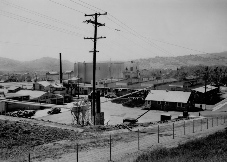 A look back at Basic Vegetable Products in Vacaville