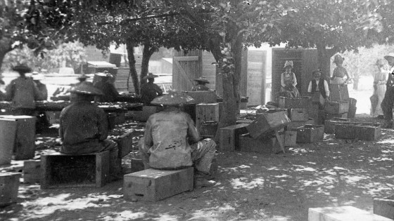 Reflecting on the Chinese-American experience in Vacaville