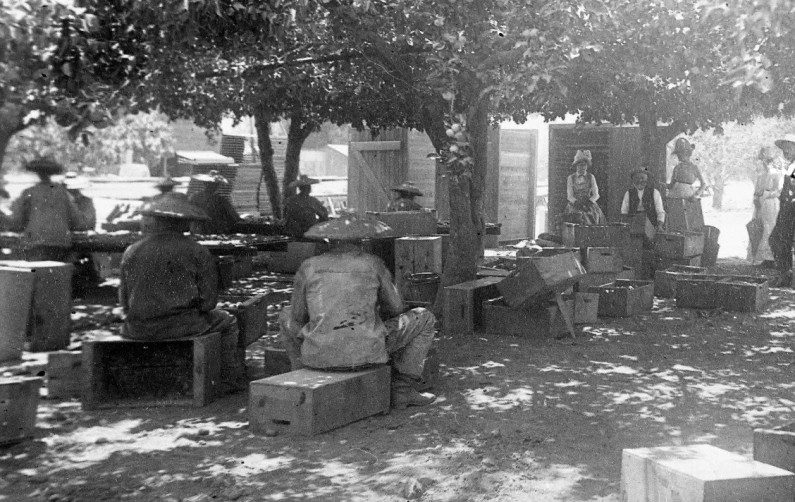 Reflecting on the Chinese-American experience in Vacaville